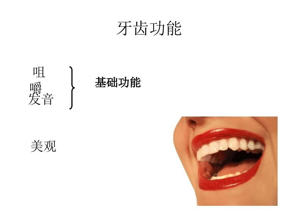 《口腔基础知识》ppt课件_第14页