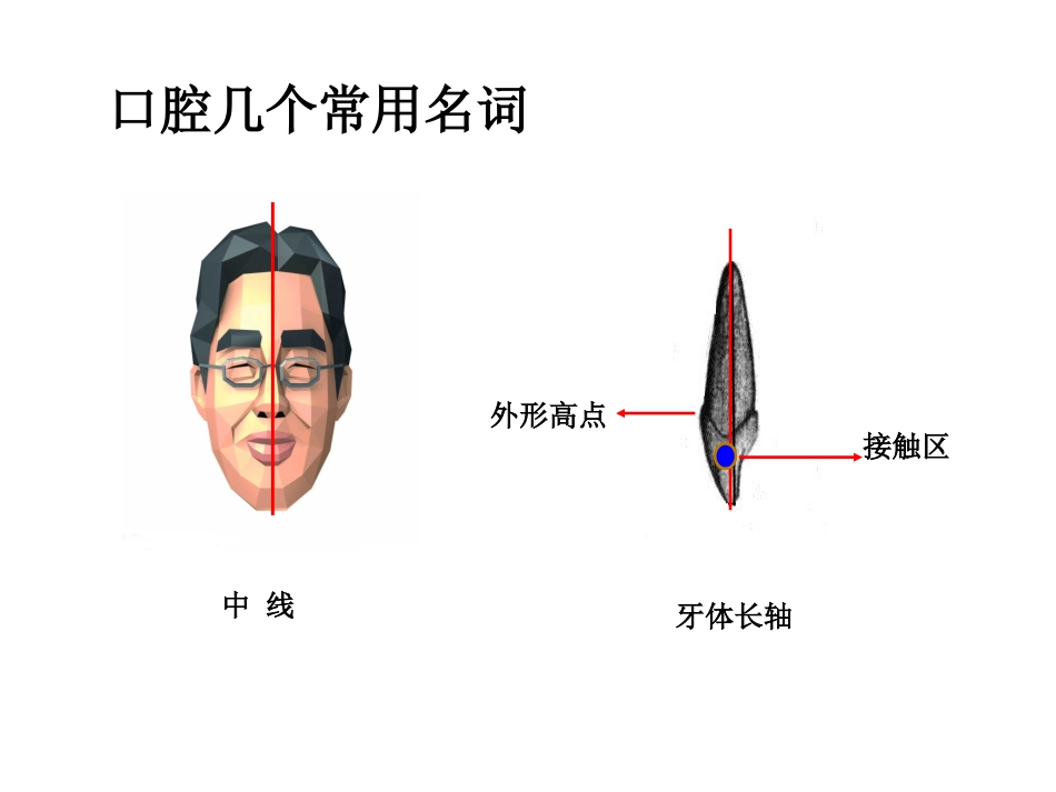 《口腔基础知识》ppt课件_第8页