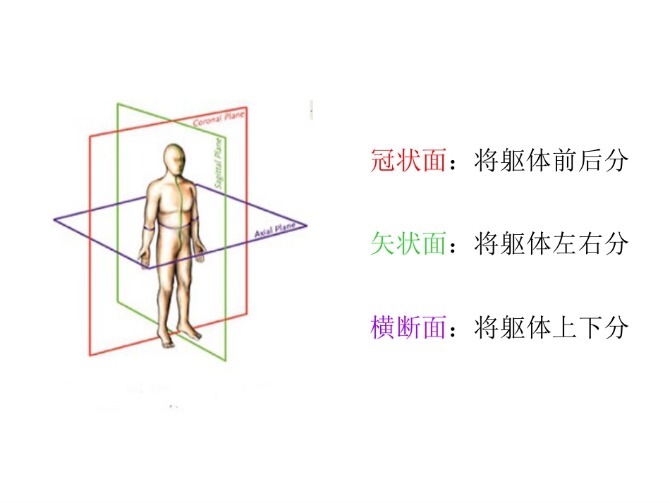 《口腔基础知识》ppt课件_第9页