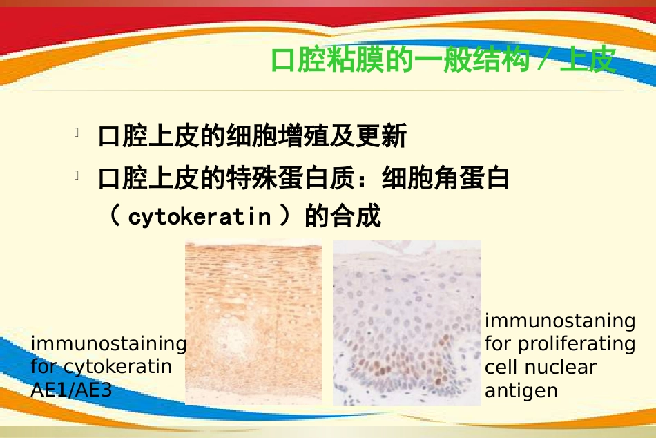 《口腔黏膜病》PPT课件_第10页