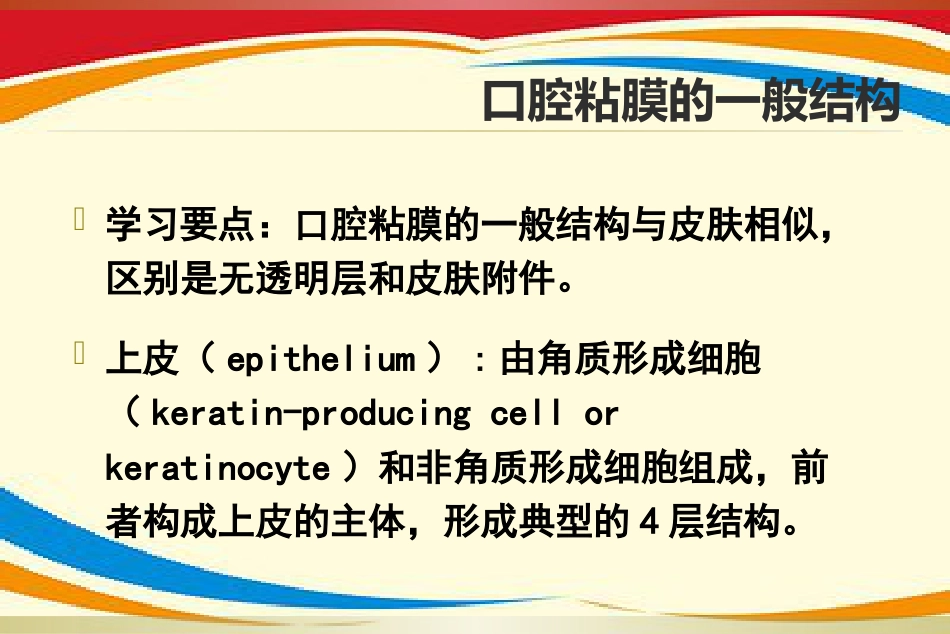 《口腔黏膜病》PPT课件_第3页