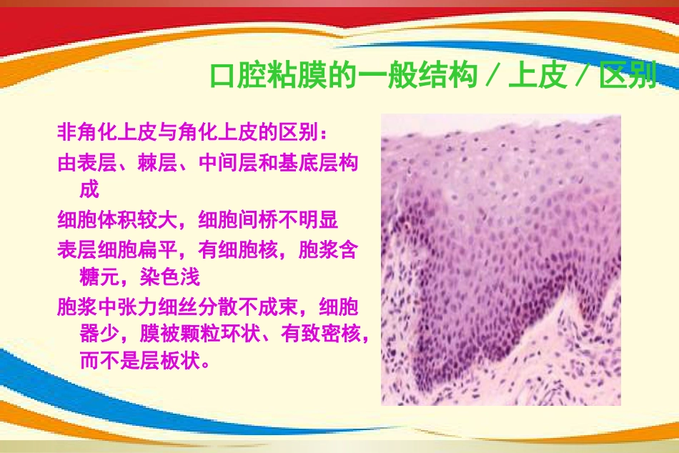 《口腔黏膜病》PPT课件_第7页