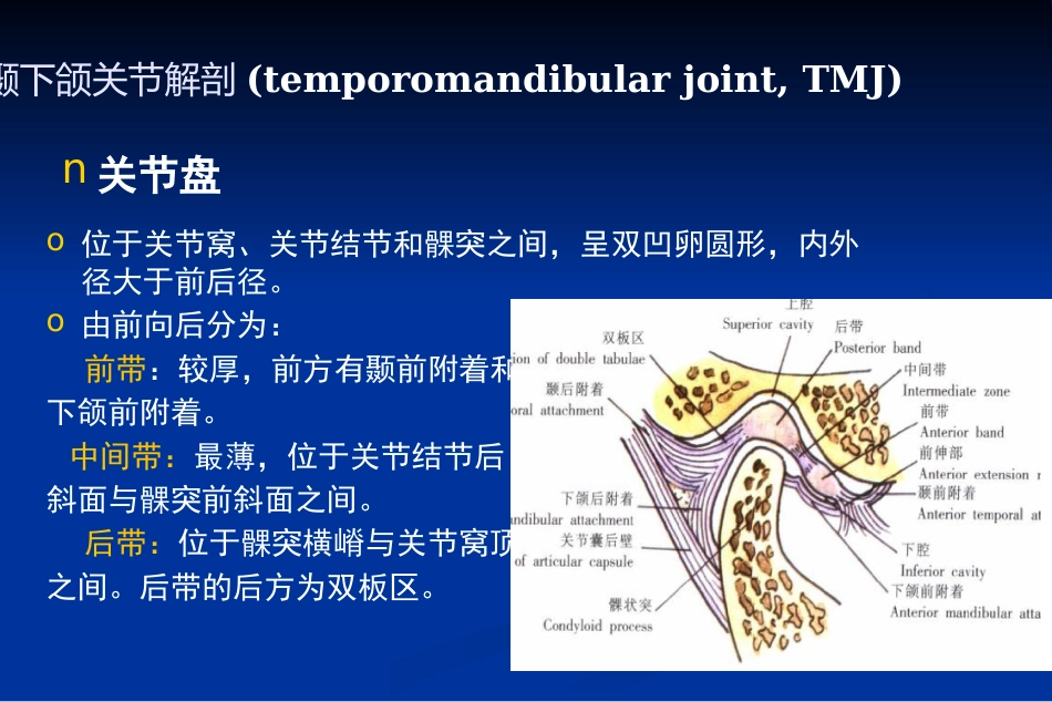 【口腔医学】颞下颌关节疾病_第4页