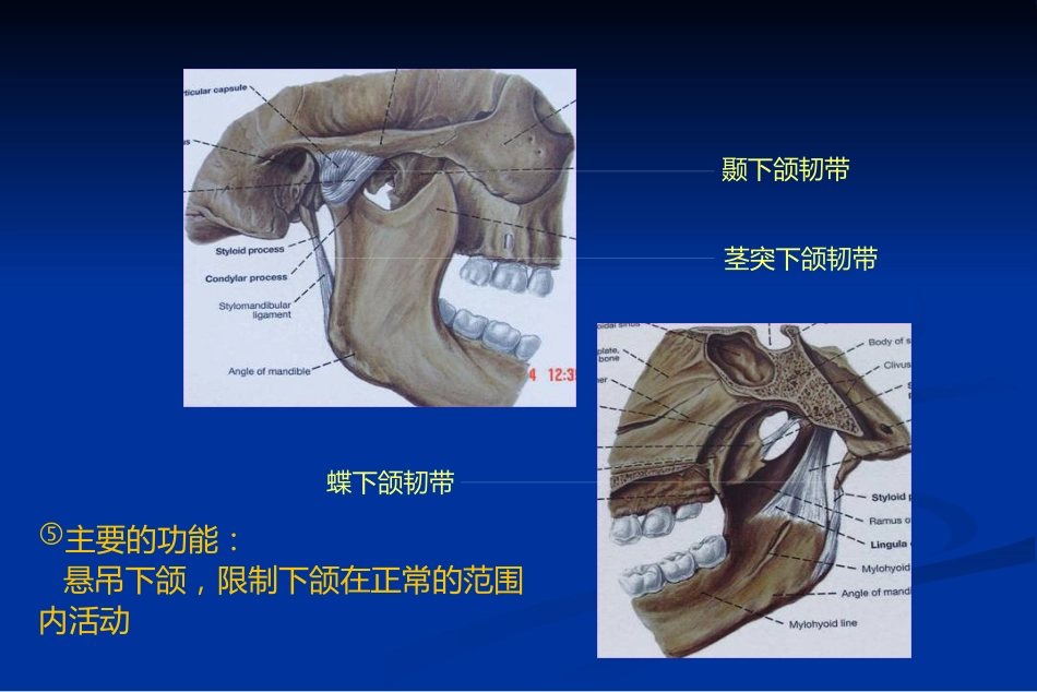 【口腔医学】颞下颌关节疾病_第6页