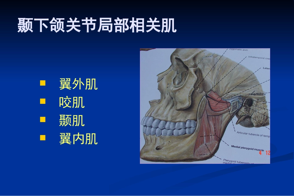 【口腔医学】颞下颌关节疾病_第7页