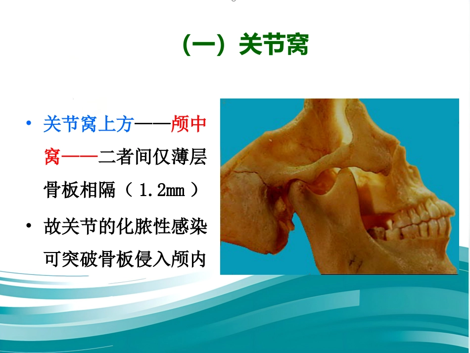 【口腔医学】颞下颌关节PPT课件_第13页