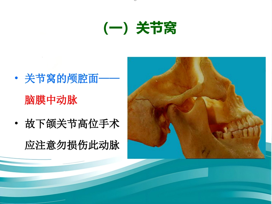 【口腔医学】颞下颌关节PPT课件_第14页