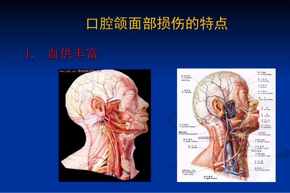 【口腔医学】口腔颌面部损伤_第4页