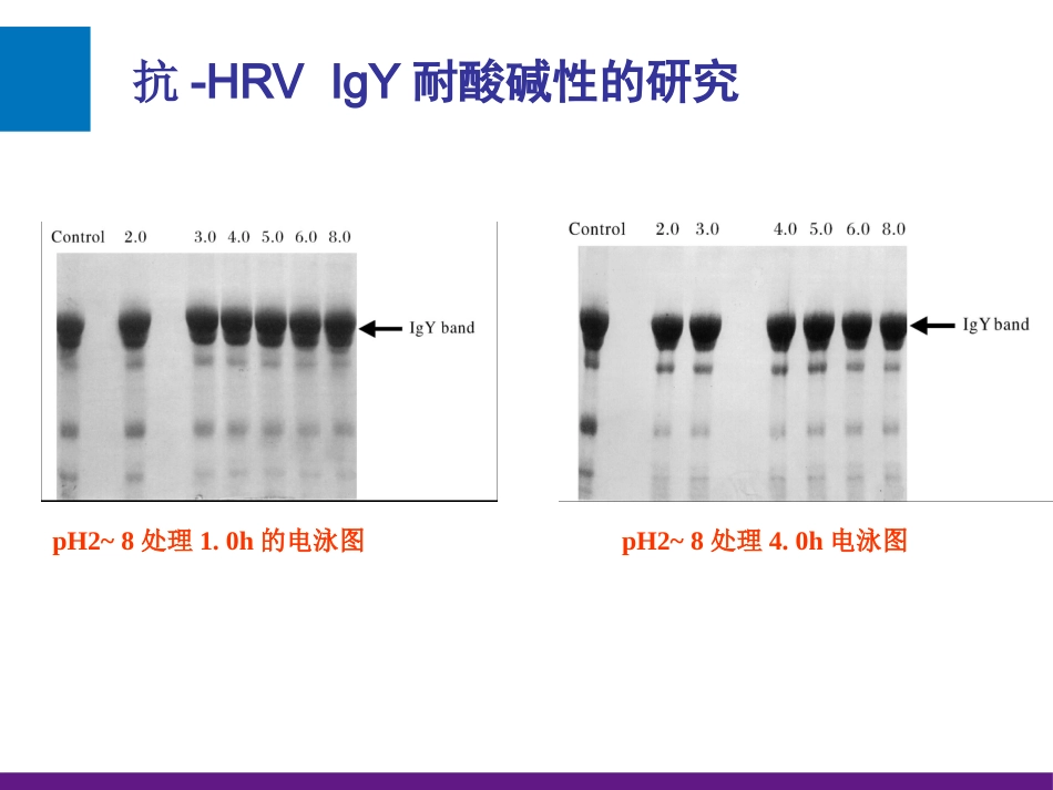 轮状病毒性肠炎【17页】_第12页