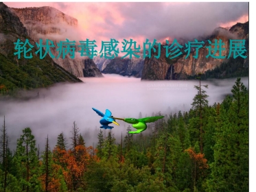 轮状病毒性肠炎 ppt课件【52页】