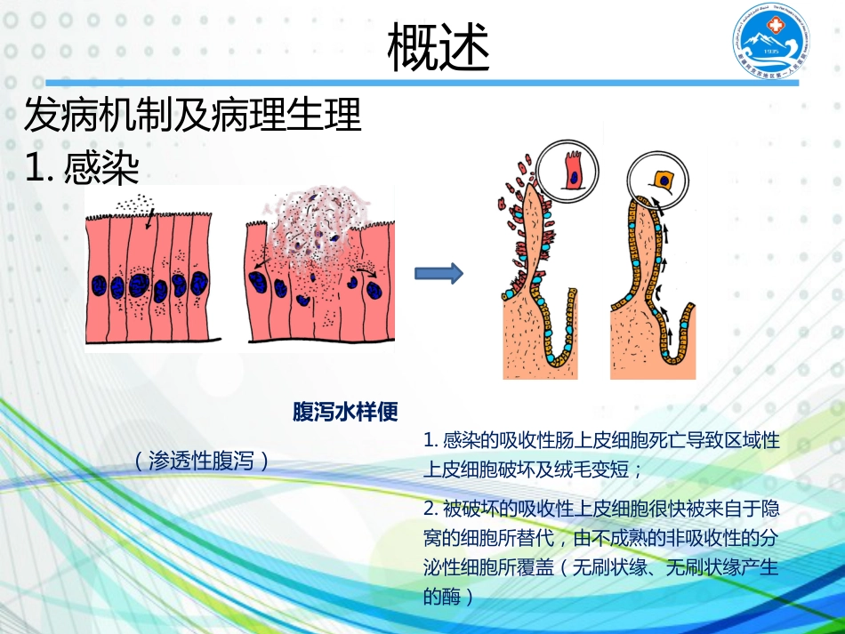 轮状病毒感染【30页】_第6页