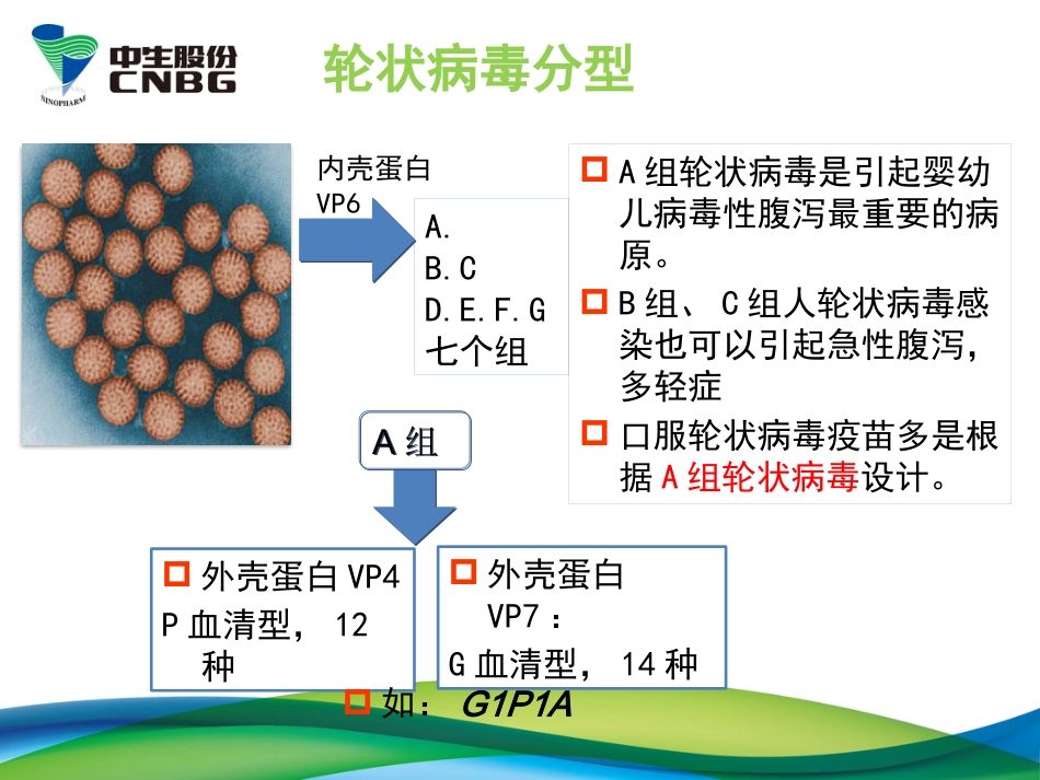 轮状病毒腹泻与疫苗应用(40M版)【47页】_第11页