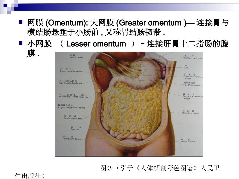 普外科-急性化脓性腹膜炎_第5页