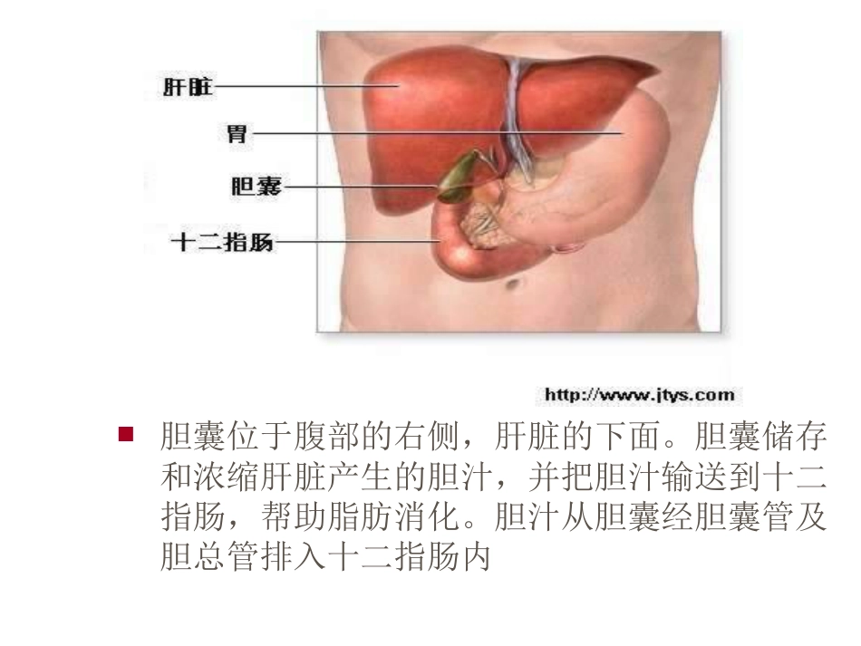 外科-胆囊结石及其防治_第5页