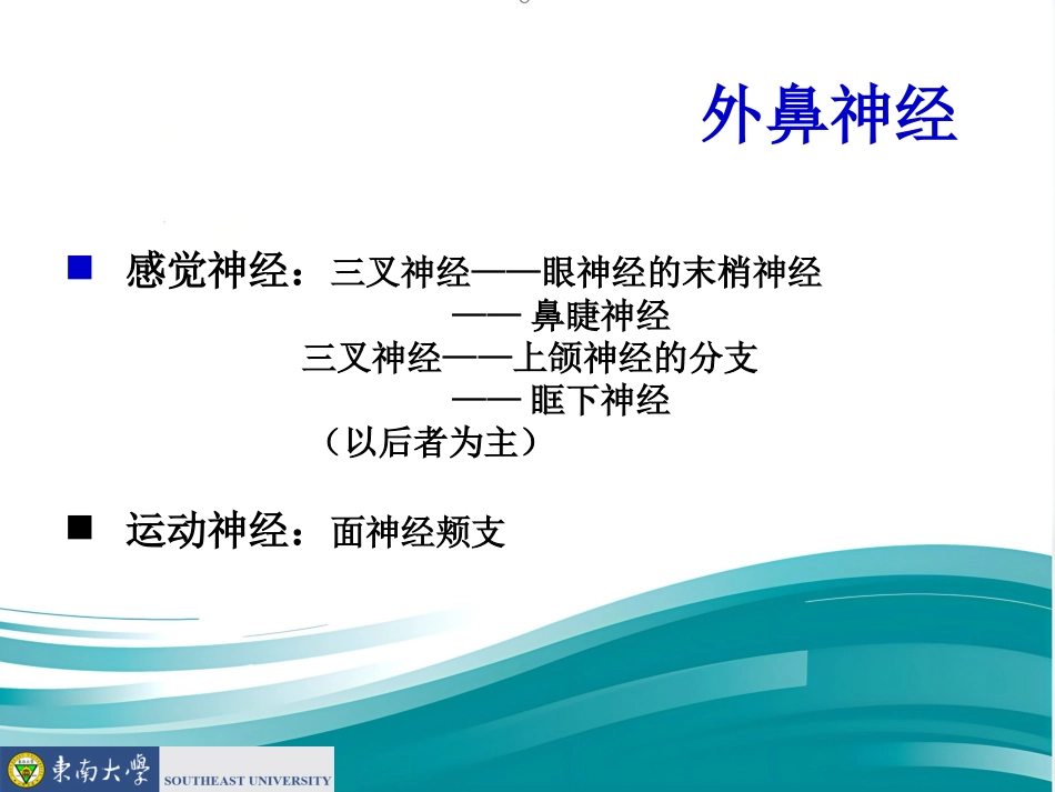 鼻的应用解剖及生理PPT课件_第10页