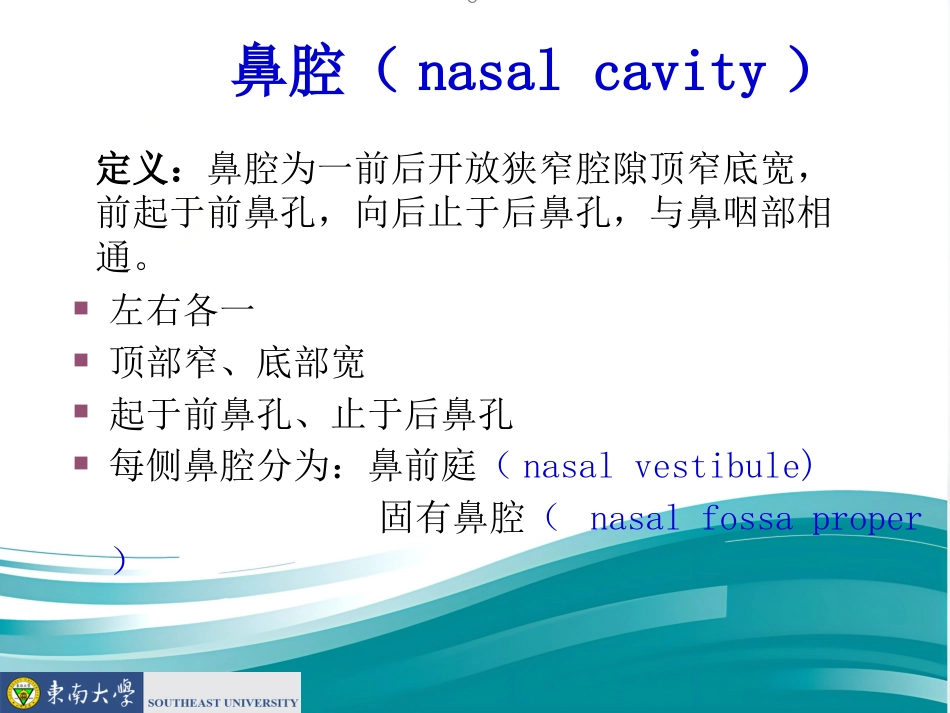 鼻的应用解剖及生理PPT课件_第11页