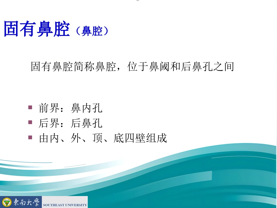 鼻的应用解剖及生理PPT课件_第13页