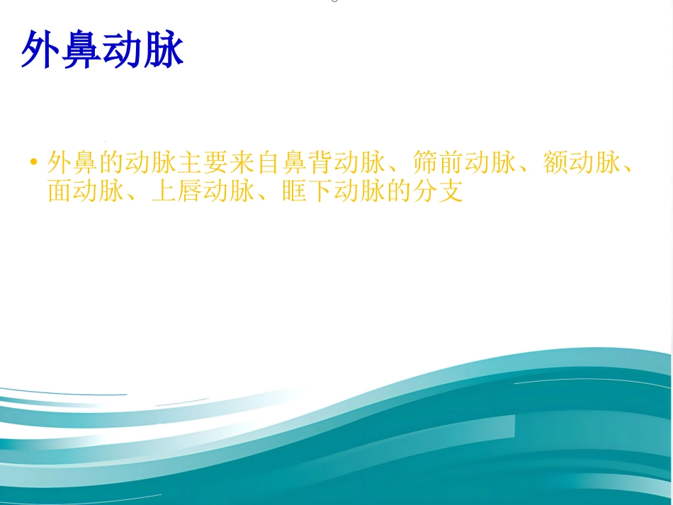 鼻的应用解剖及生理PPT课件_第7页