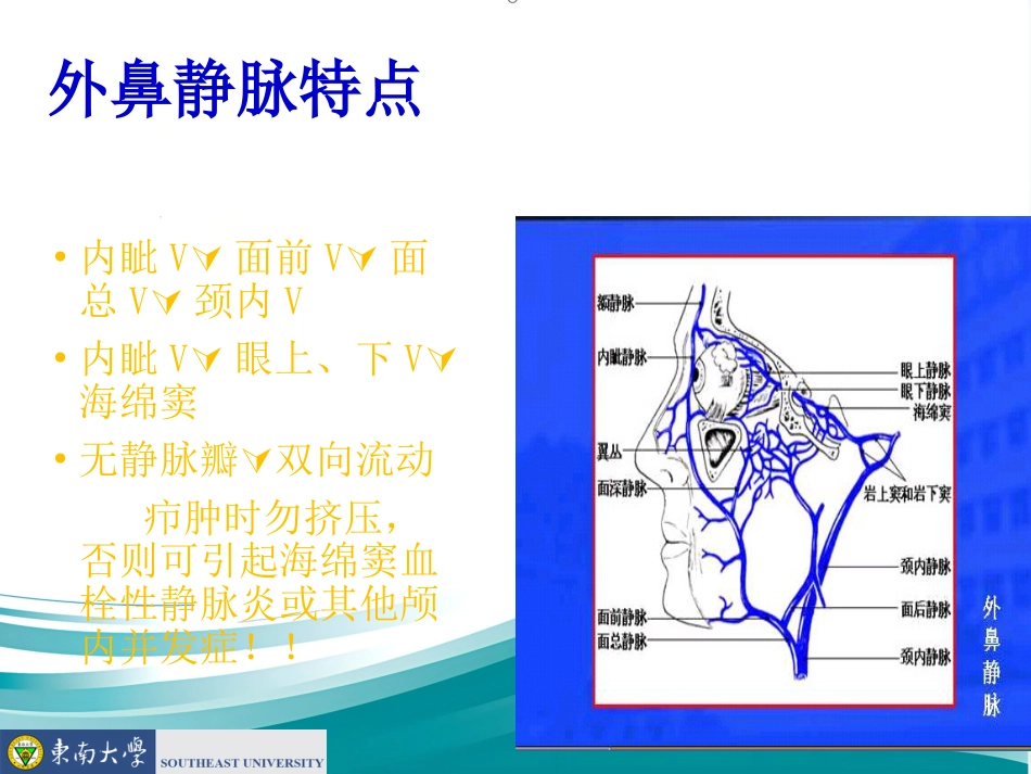 鼻的应用解剖及生理PPT课件_第8页
