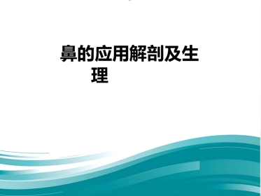 鼻的应用解剖及生理PPT课件