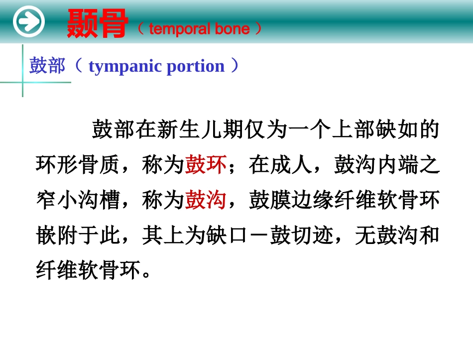 耳的解剖及生理_第12页