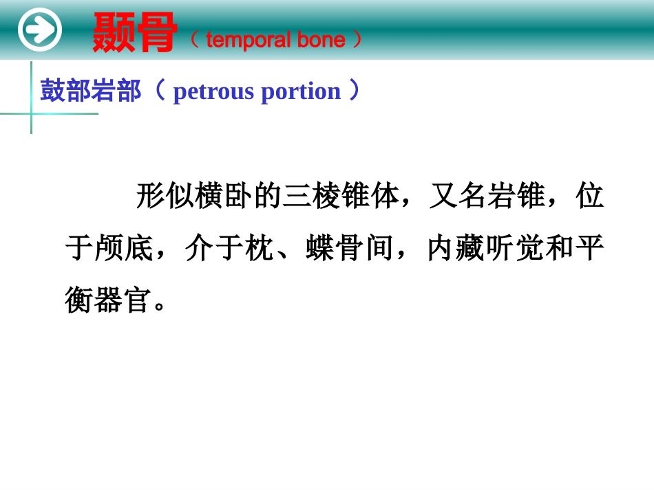耳的解剖及生理_第13页