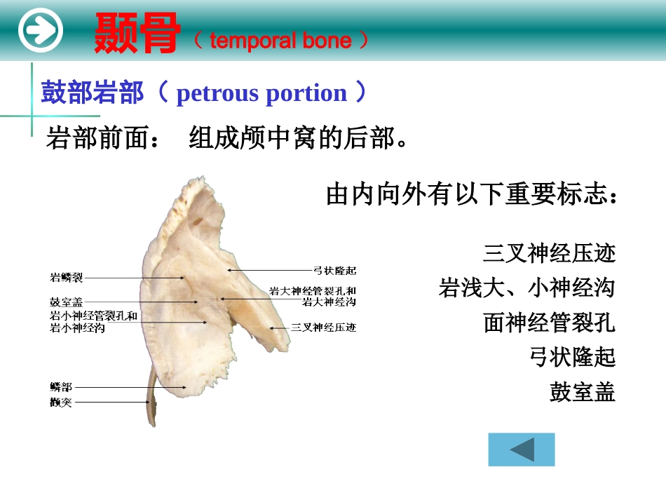 耳的解剖及生理_第15页
