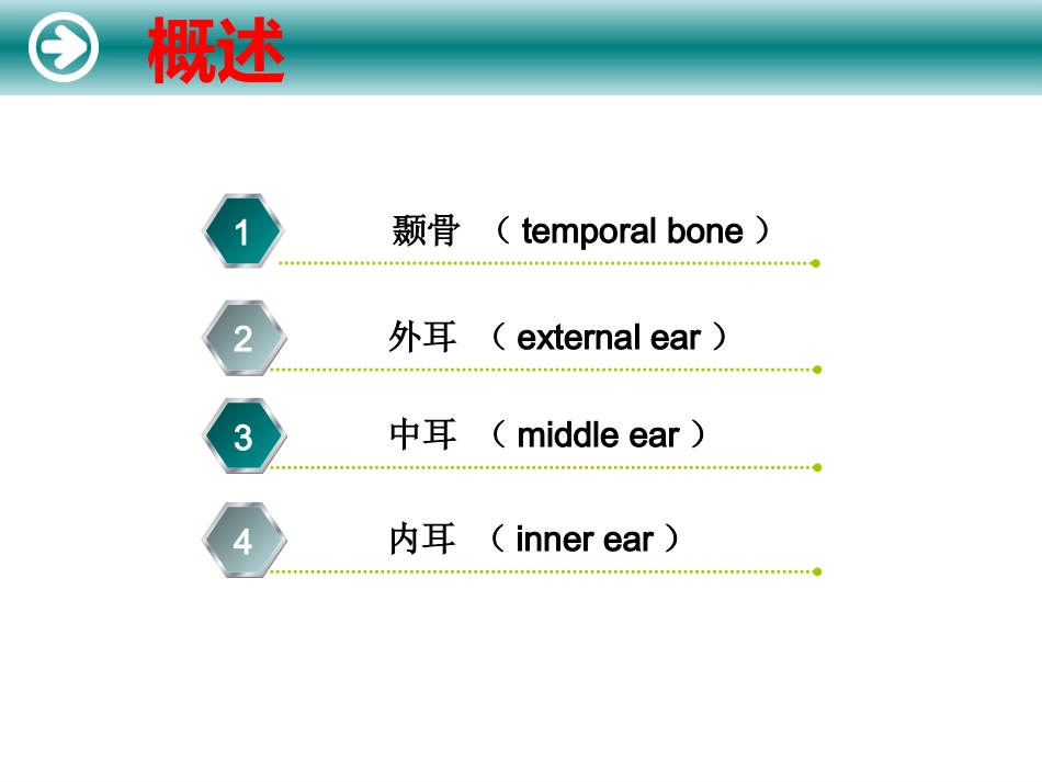 耳的解剖及生理_第2页