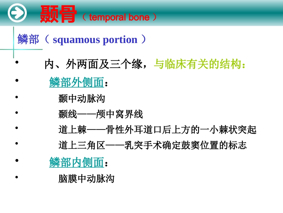 耳的解剖及生理_第5页