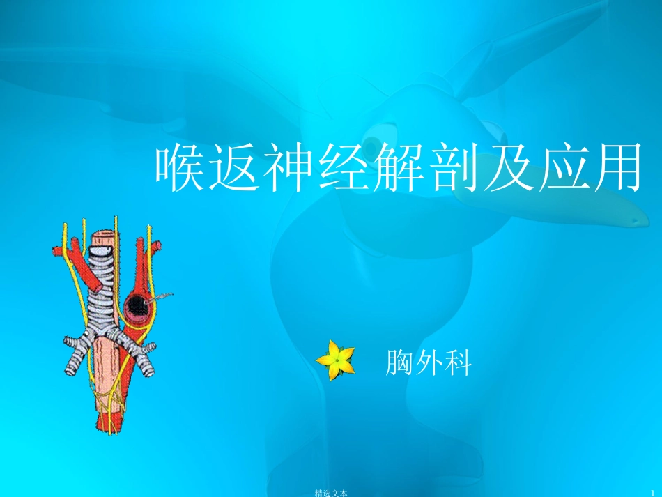 喉返神经解剖_第1页