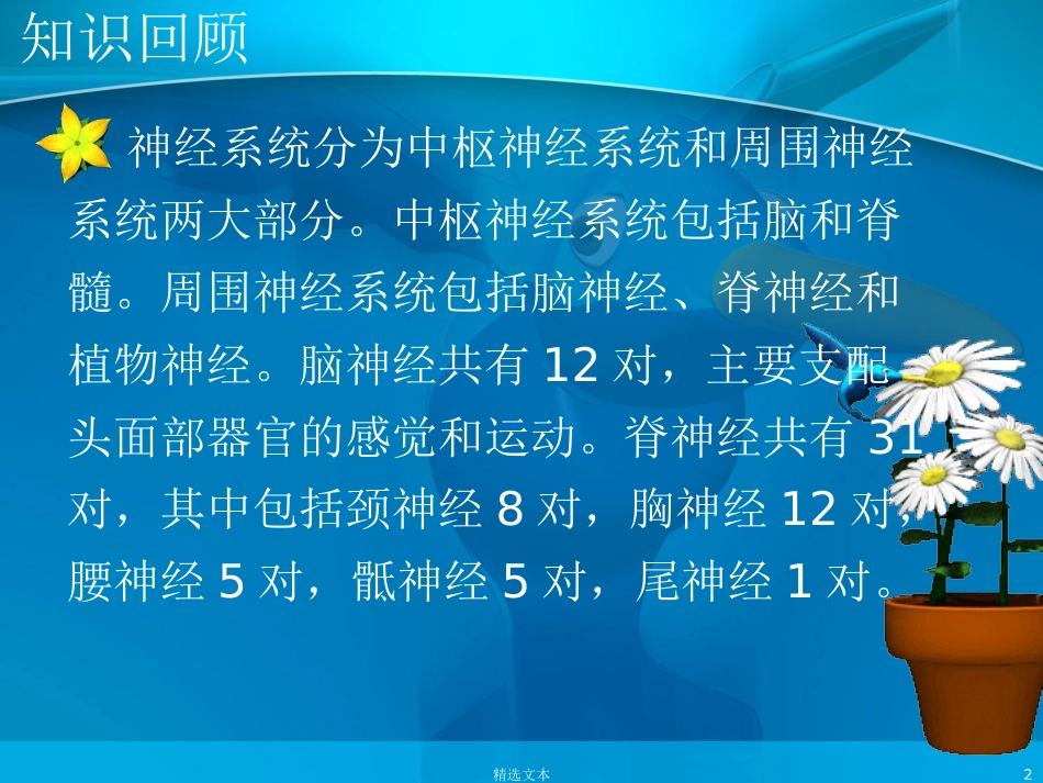 喉返神经解剖_第2页
