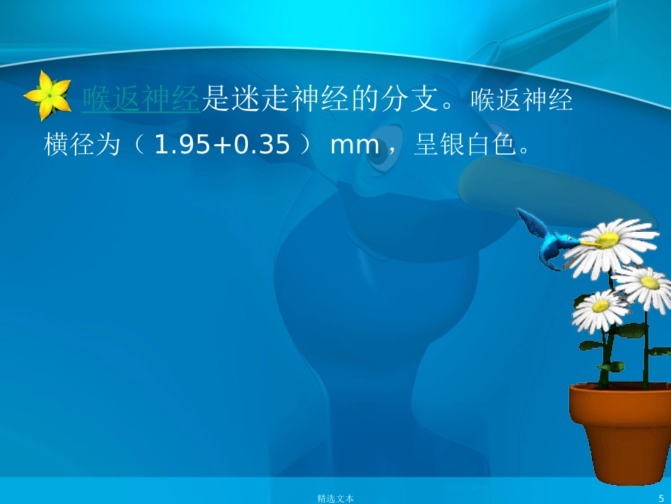 喉返神经解剖_第5页