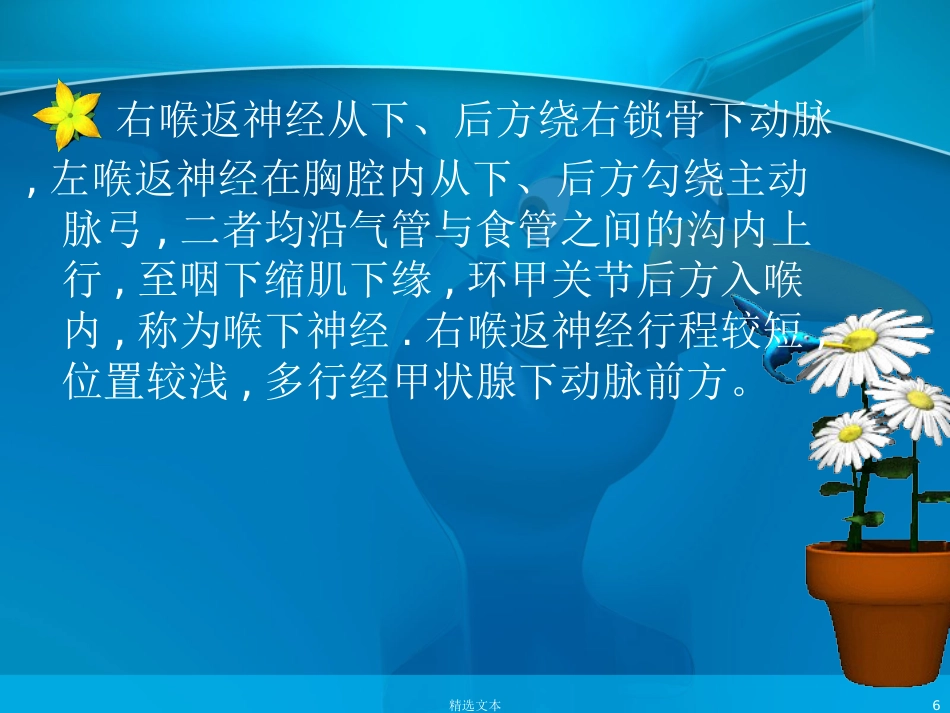 喉返神经解剖_第6页