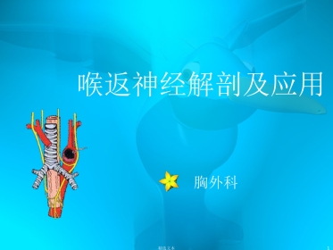 喉返神经解剖