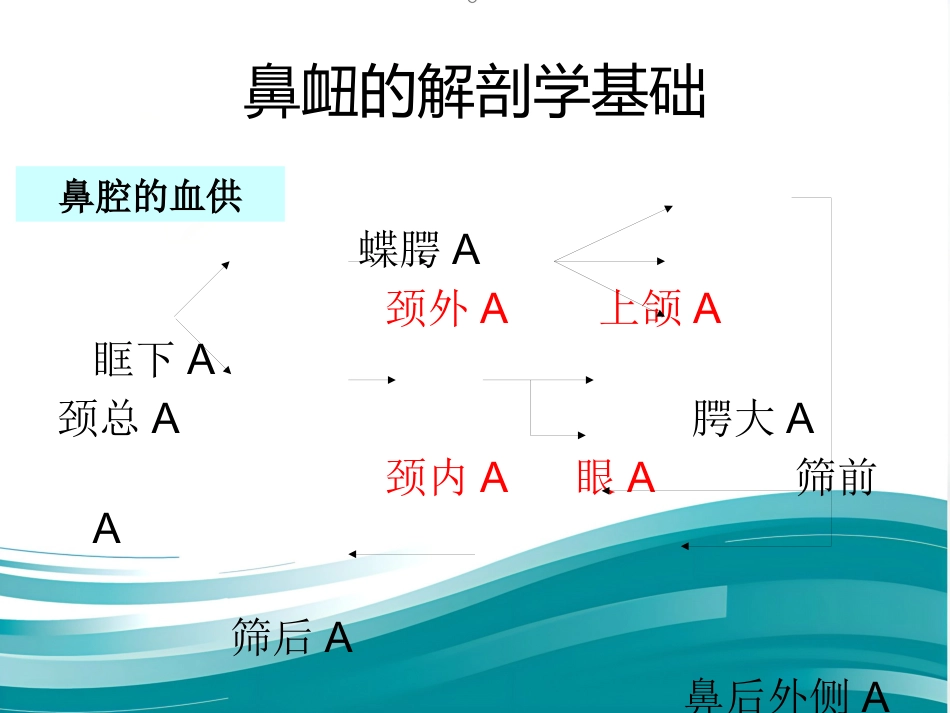 鼻衄_第13页