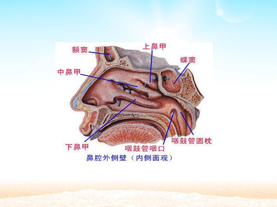 鼻窦炎患者的_第6页