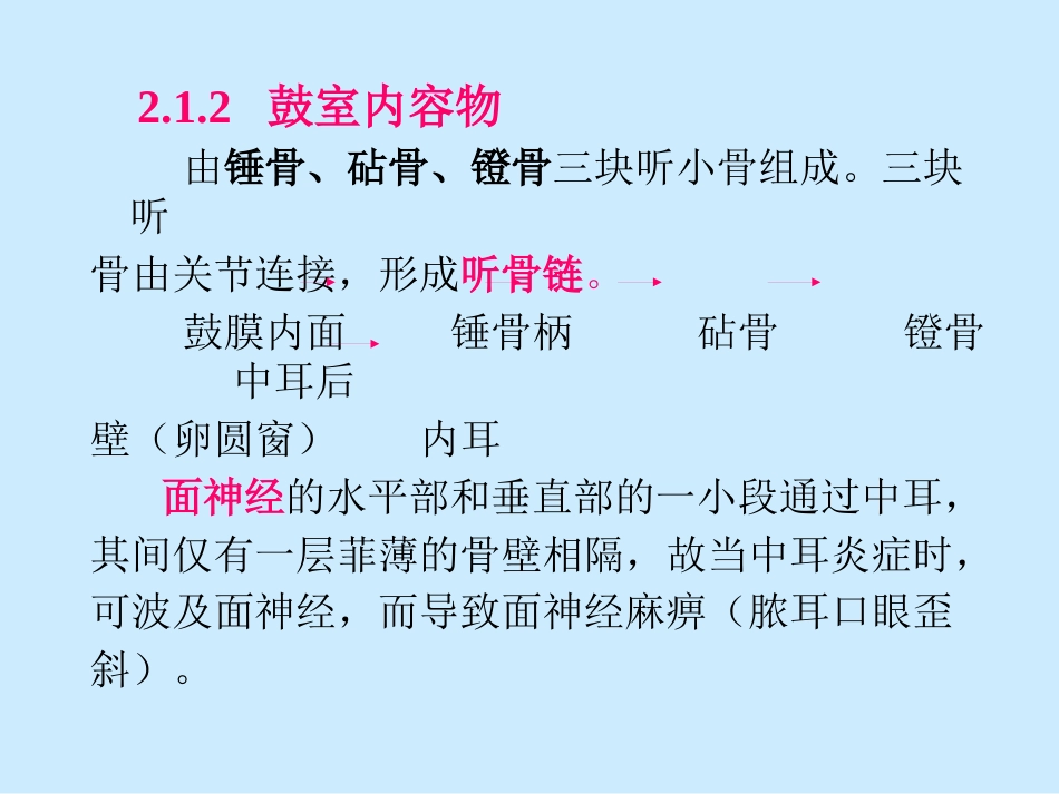 耳鼻喉科解剖_第14页
