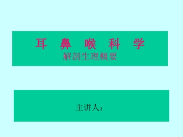 耳鼻喉科解剖