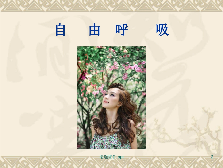 鼻炎鼻窦炎_第2页