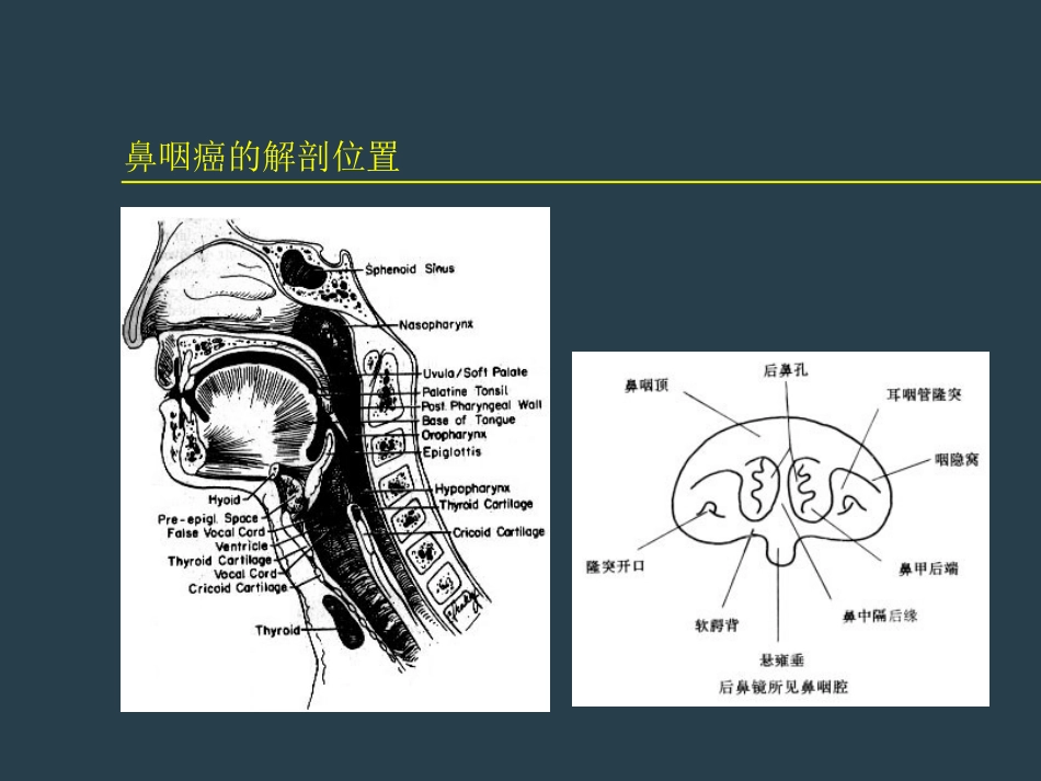 鼻咽癌放射治疗ppt_第7页