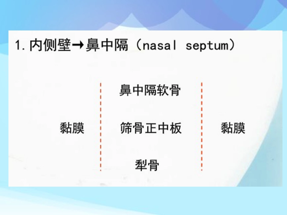 耳鼻咽喉头颈外科学耳鼻咽喉应用解剖_第11页