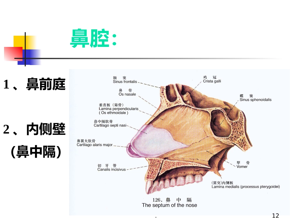 耳鼻喉科正常体格检查PPT课件_第12页