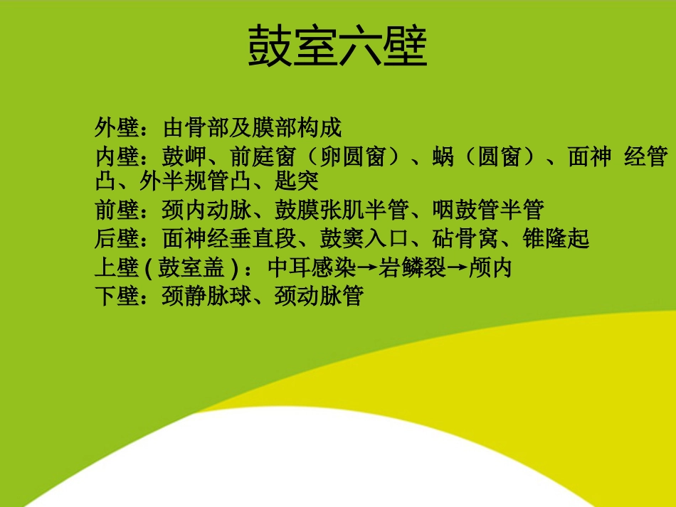 耳的应用解剖与生理PPT_第13页