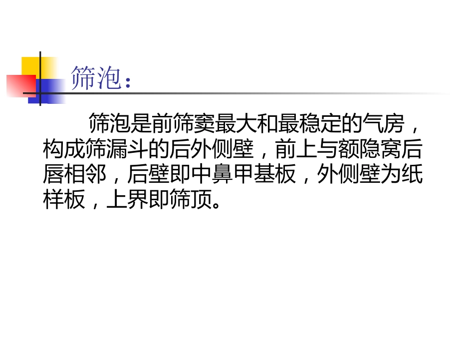鼻内窥镜外科学_第13页