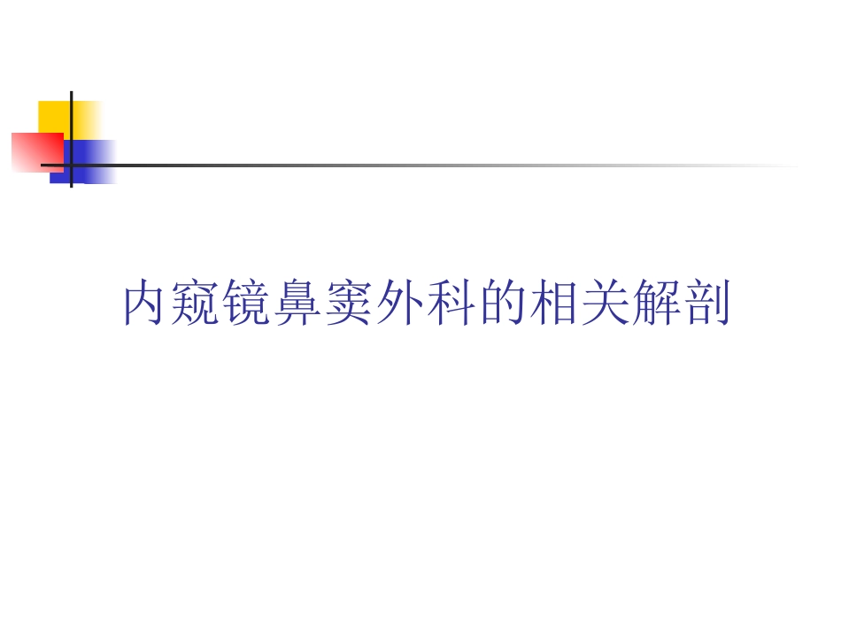 鼻内窥镜外科学_第9页