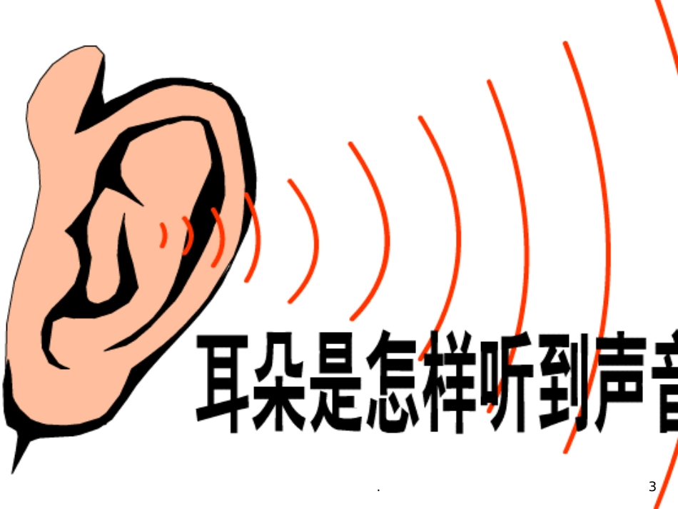耳朵的结构及功能_第3页
