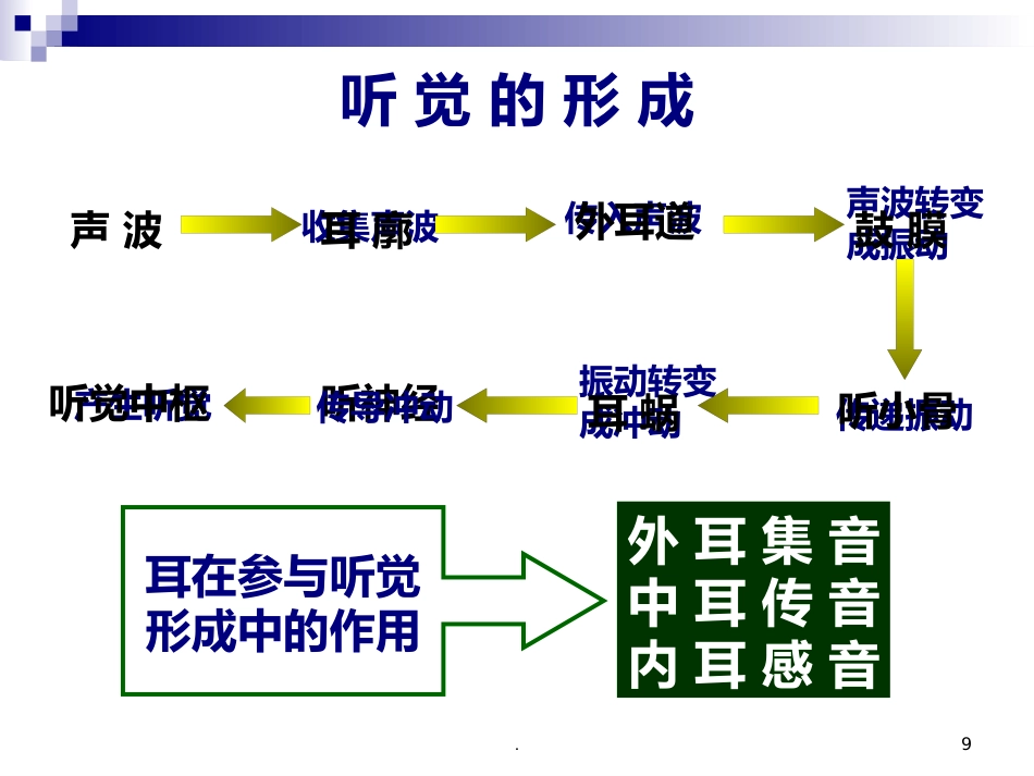 耳朵的结构及功能_第9页