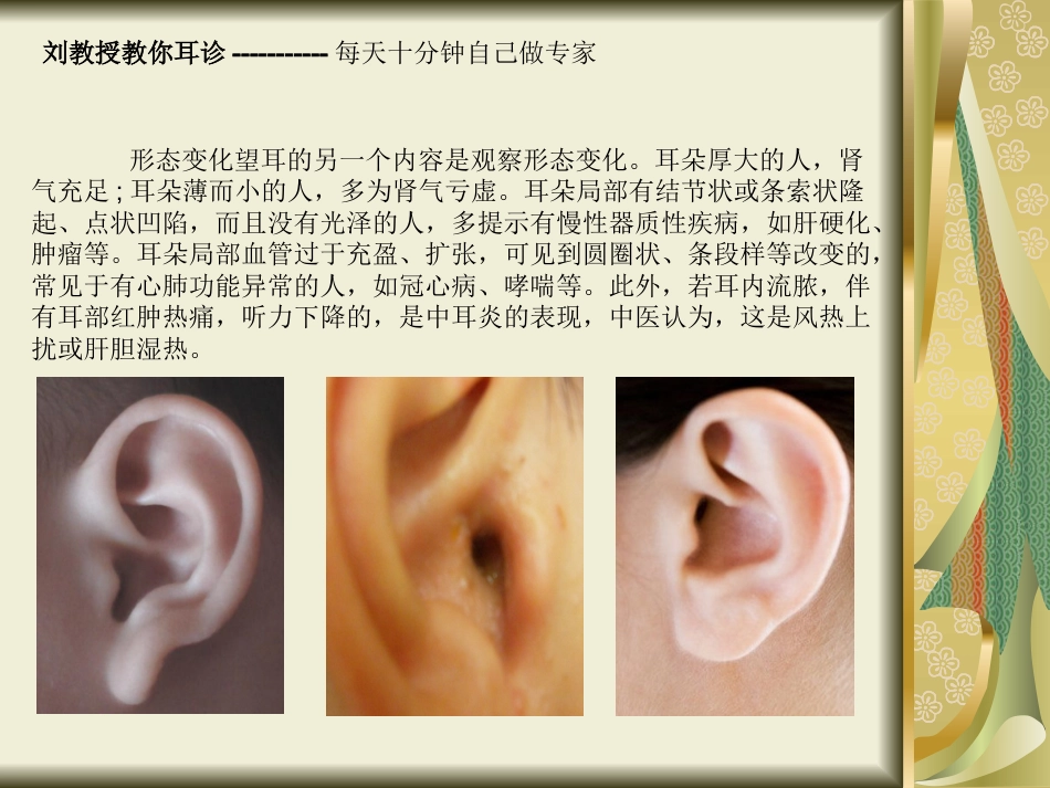 刘教授教你耳诊_第13页