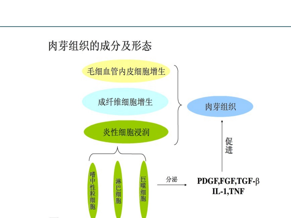 耳部瘢痕疙瘩讲诉_第6页
