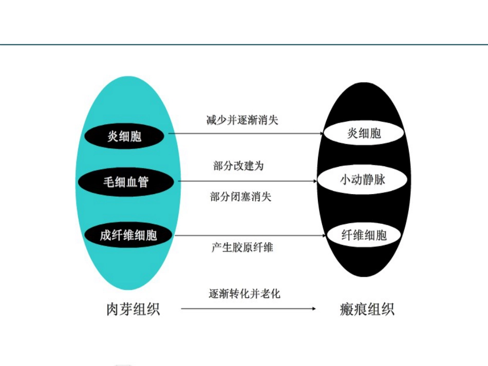 耳部瘢痕疙瘩讲诉_第8页